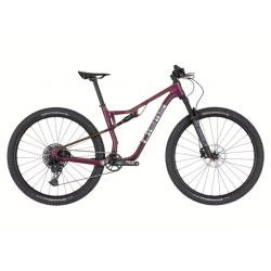 PELLS Duke FS 2