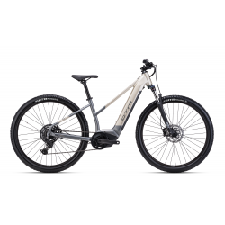 CTM ROXXY GX 29