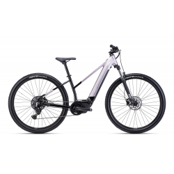 CTM ROXXY GX 29