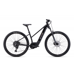 CTM ROXXY GX PRO