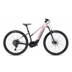 CTM ROXXY GX PRO